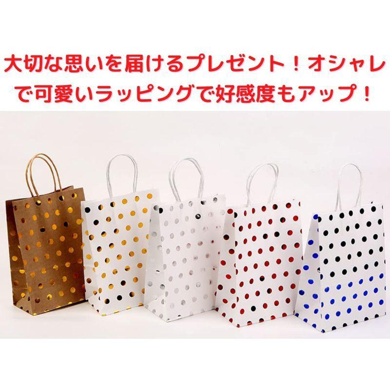 超特価sale開催 カタログギフト トゥルーハーツラッピング 袋 おしゃれ 可愛い プレゼント 紙袋 紙バッグ ギフトバッグ 手提げ お菓子 小物 マチあり 10枚 小サイズ Www Threeriversofs Com