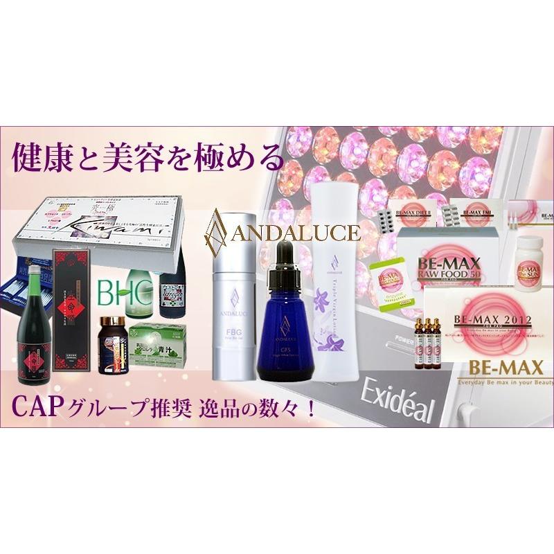 「健キレイ美」(R)プレミアム5g×30包入り(生酵素げ原液)/L-カルニチン/α-リポ酸/コラーゲン/|andaluce|04