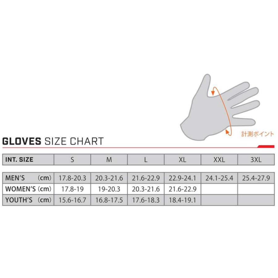 アルパインスターズ（alpinestars） レーシンググローブ(RacingGlove