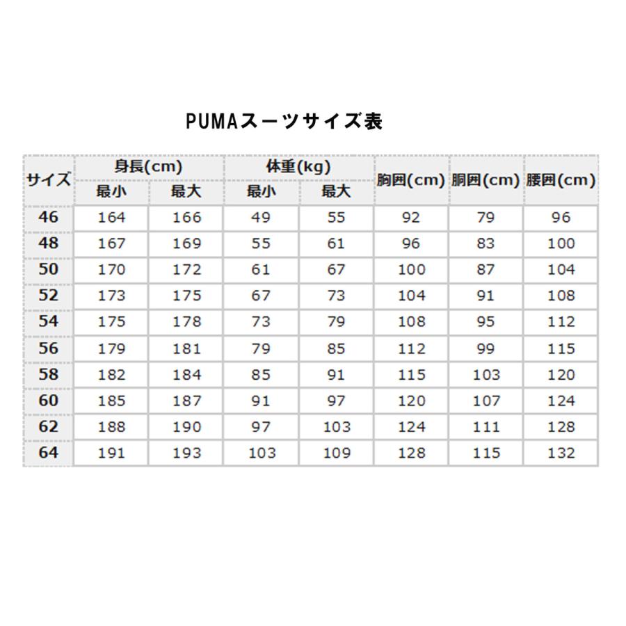 プーマ　イタリア代表上下　US Lサイズ 未開封品 PUMA プーマ(PUMA) レーシングスーツ ティセット レーススーツ