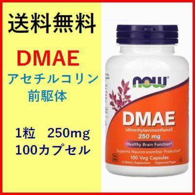 DMAE 250mg 100粒 アセチルコリン前駆体 サプリメント 健康食品 Now 