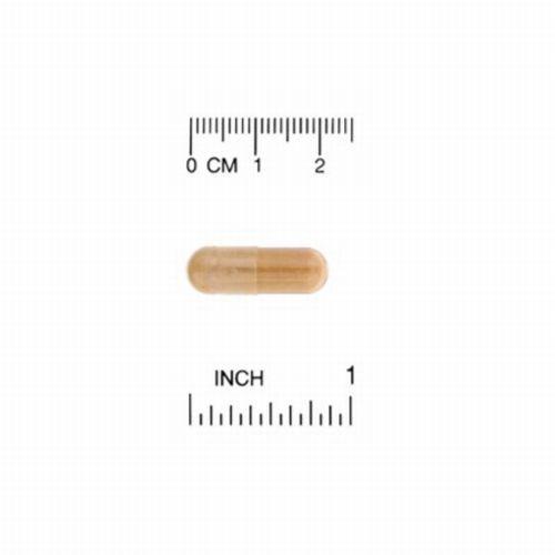 シリマリン コンプレックス オアザミエキス サプリメント 健康食品 合計6種類配合 成分量濃縮2倍 成分量1粒 300mg 120粒入 California Gold Nutrition｜anderful-store｜04