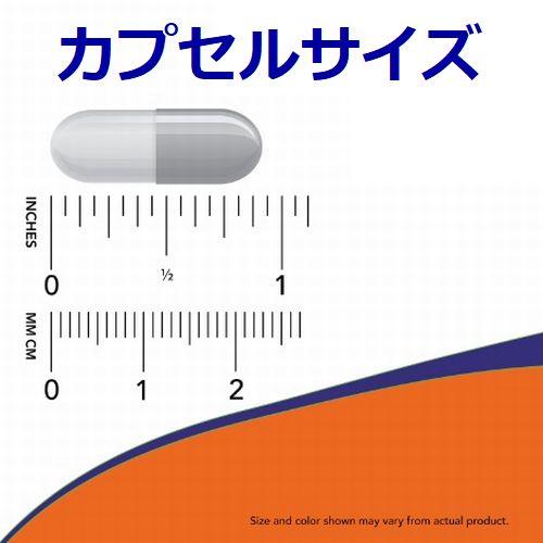 トリプトファン 500mg 60粒 2ヶ月分 セロトニン前駆体 必須アミノ酸