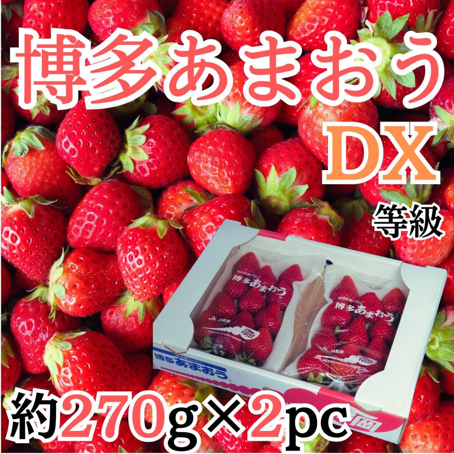福岡産 博多 ”あまおういちご” 等級DX（デラックス） 2箱 4パック入り