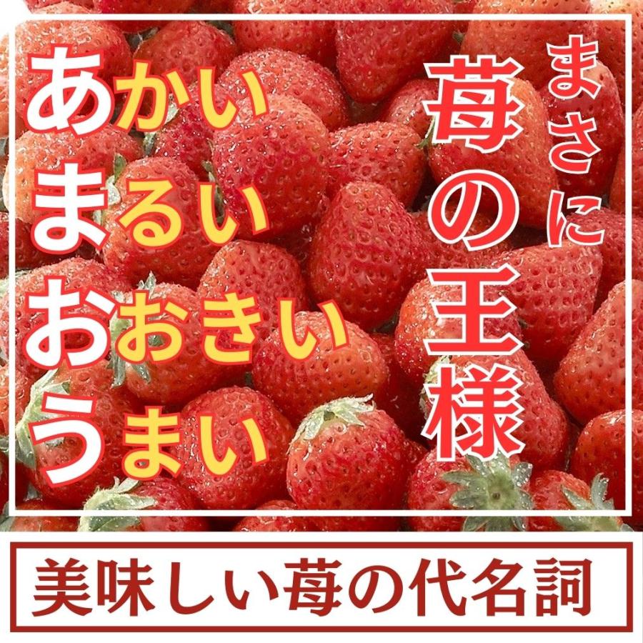 福岡産 博多 ”あまおういちご” 等級DX（デラックス） 2箱 4パック入り