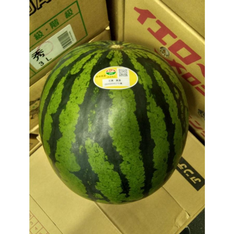 最大86 Offクーポン すいか 2玉 1玉8kg前後 熊本県産 鹿本