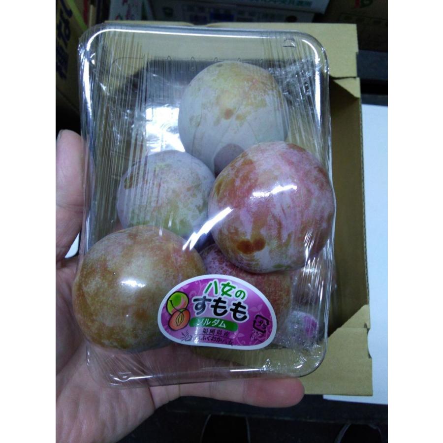 八女のすもも ソルダム 6パック 1パック400g 福岡県産 スーパーセール アンデス フルーツギフト 北海道と沖縄県以外送料無料 2l