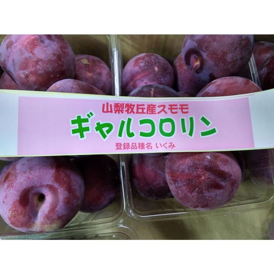 最新 ギャルコロリン 8パック 北海道と沖縄県以外送料無料 アンデス フルーツギフト 1パック700g プラム