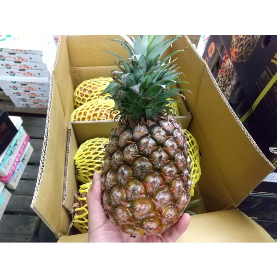 最大73 オフ パイン Pineapple 台湾産 1玉 1玉1kg前後 北海道と沖縄県以外送料無料