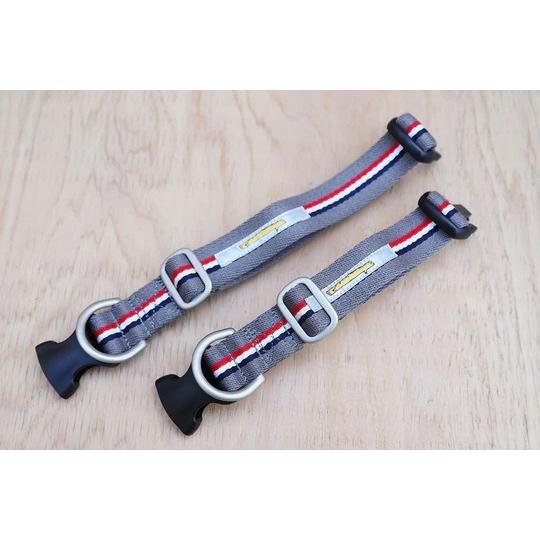 e ストライプショート　リード＆カラー GEORGE｜ジョージ ストライプ ショート カラー / グレートリコロール L