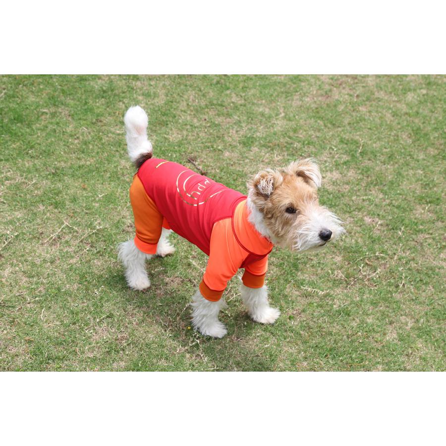 犬服 GEORGE｜ジョージ happy 4legs / ECO BLUE 5号 春夏 犬の服 ワンコ服 ドッグウェア 小型犬 ロンパース 送料無料 おしゃれ かわいい 涼しい 水遊び 速乾の画像