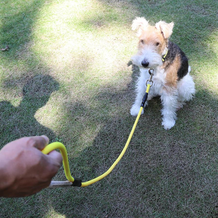 リード MOUNTAIN DOG｜マウンテンドッグ Original Clip Leash