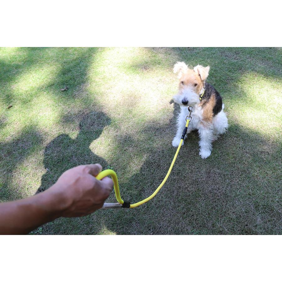 リード MOUNTAIN DOG｜マウンテンドッグ Original Clip Leash