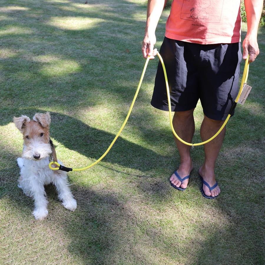 リード MOUNTAIN DOG｜マウンテンドッグ / Amazing Versatile Leash