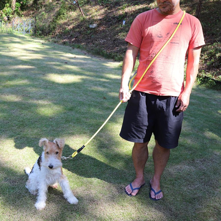 リード MOUNTAIN DOG｜マウンテンドッグ / Amazing Versatile Leash