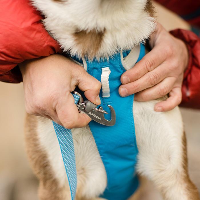 RUFFWEAR｜ラフウェア フラッグライン ハーネス 小型犬 中型犬 大型犬 送料無料 おしゃれ アウトドア 抜けにくい 着脱簡単 洗える 国内正規品の画像