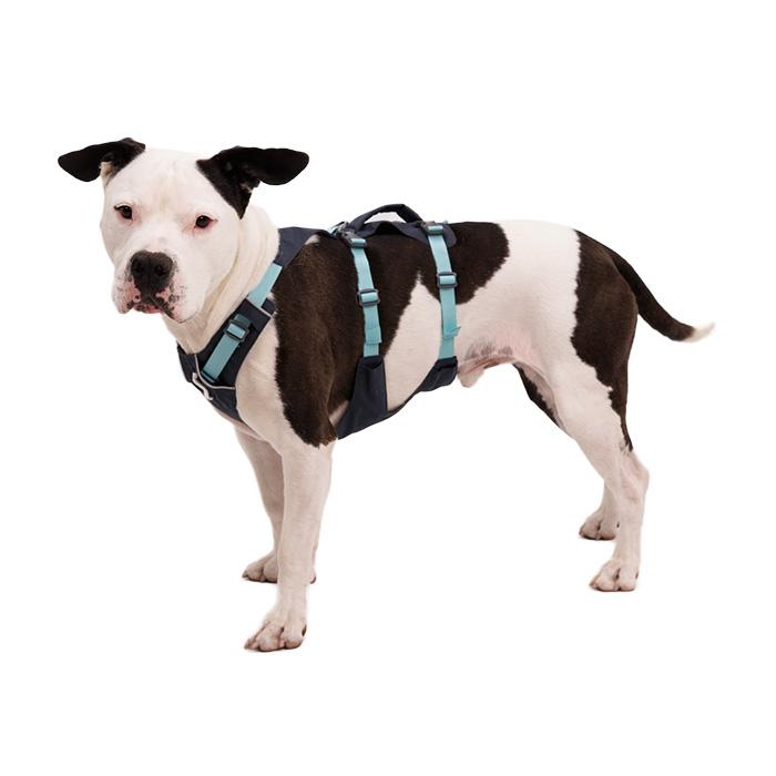 RUFFWEAR｜ラフウェア フラッグライン ハーネス 小型犬 中型犬 大型犬 送料無料 おしゃれ アウトドア 抜けにくい 着脱簡単 洗える 国内正規品の画像