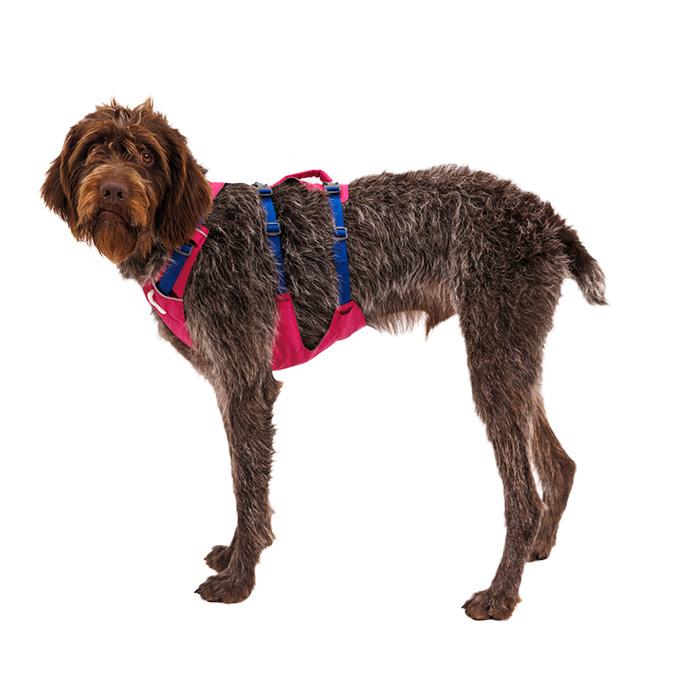 RUFFWEAR｜ラフウェア フラッグライン ハーネス 小型犬 中型犬 大型犬 送料無料 おしゃれ アウトドア 抜けにくい 着脱簡単 洗える 国内正規品の画像
