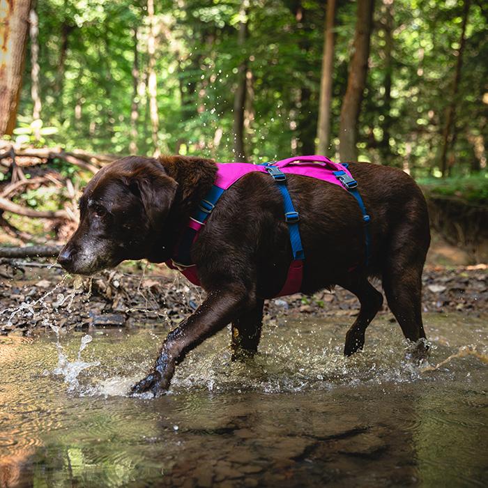 RUFFWEAR｜ラフウェア フラッグライン ハーネス 小型犬 中型犬 大型犬 送料無料 おしゃれ アウトドア 抜けにくい 着脱簡単 洗える 国内正規品の画像