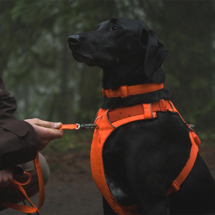 RUFFWEAR｜ラフウェア フロントレンジ ハーネス 小型犬 中型犬 大型犬