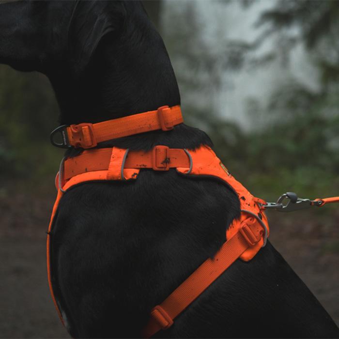 RUFFWEAR｜ラフウェア フロントレンジ ハーネス 小型犬 中型犬 大型犬