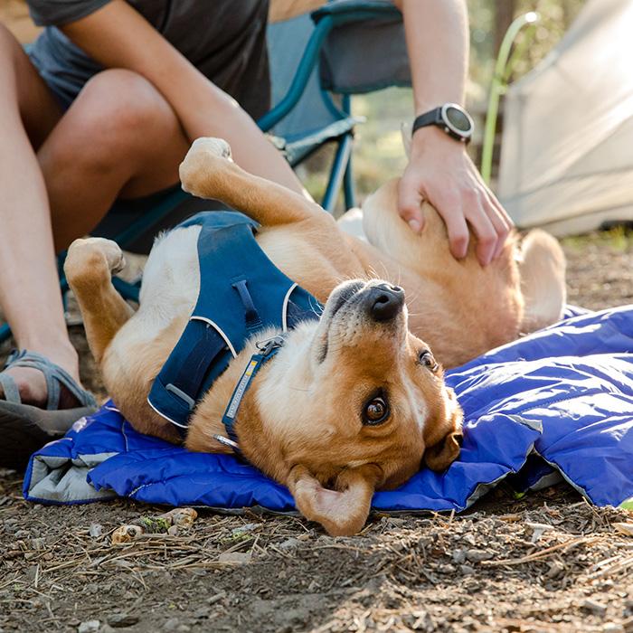 RUFFWEAR｜ラフウェア ハイランドスリーピングバッグ Mサイズ : andg