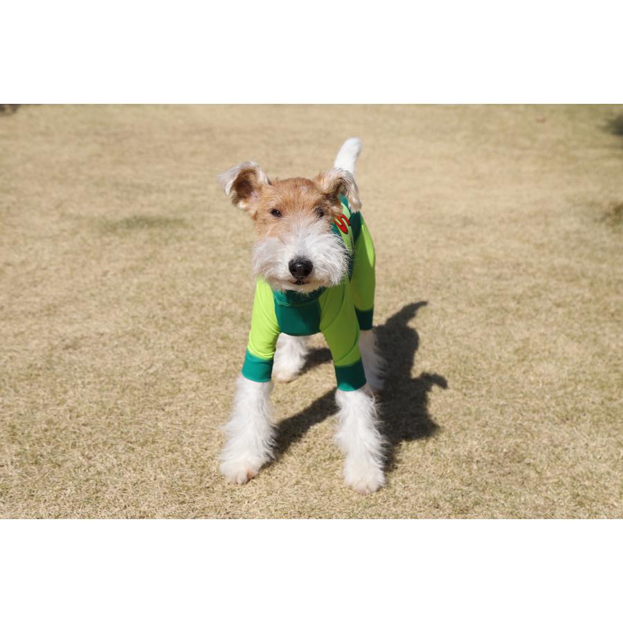 犬服 seven seas dog｜セブンシーズドッグ SUPER DOG 4legs / ECO BLUE 3-4号 春夏 犬の服 小型犬 ロンパース 送料無料 おしゃれ かわいい 涼しい 水遊びの画像