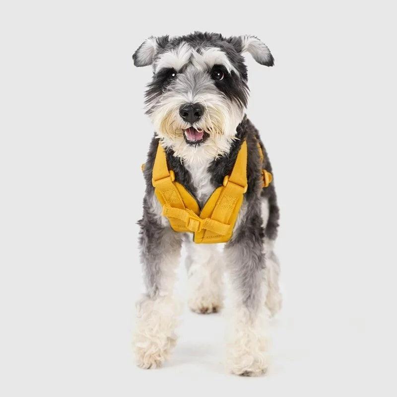 SPUTNIK スプートニク　犬　ハーネス　リード　リュック　ポーチ SPUTNIK / スプートニク 正規販売店 - HARNESS – inunoco / いぬのこ