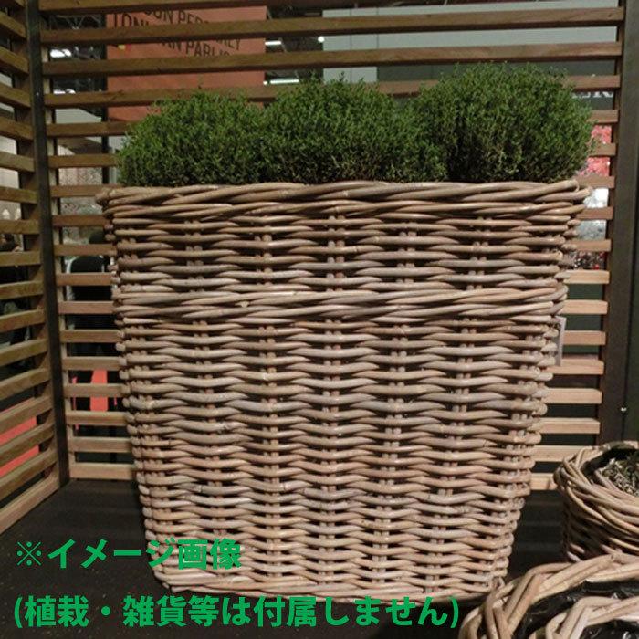 収納 かご バスケット 高級 籐(クブ材) 大型 ウィズハンドル ラージ 横