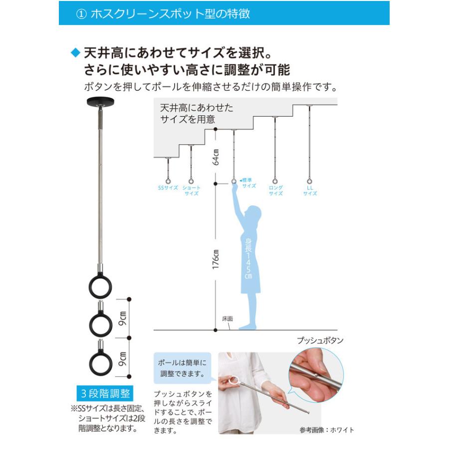 室内物干し 天井 物干し 室内 天井吊り下げ 川口技研 ホスクリーン