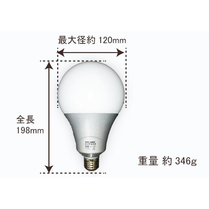 投光器 電球 交換 led 100v ビッグルミネ 30W 屋内用 超高輝度 口金E26