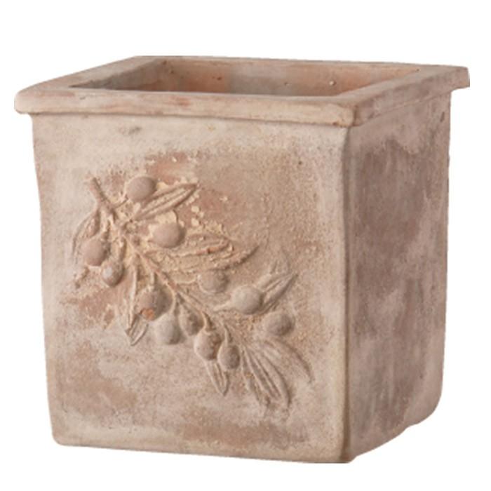 プランター 植木鉢 テラコッタ鉢 オリーブポット スクエアー