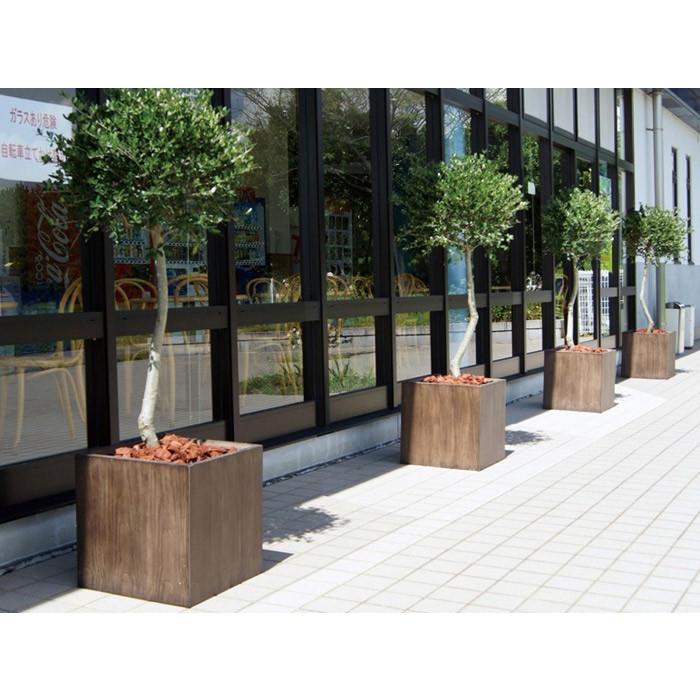 プランター 植木鉢 大型 ファイバープランター ベータ ウッド 55×55×55cm ガーデニング 園芸用品 