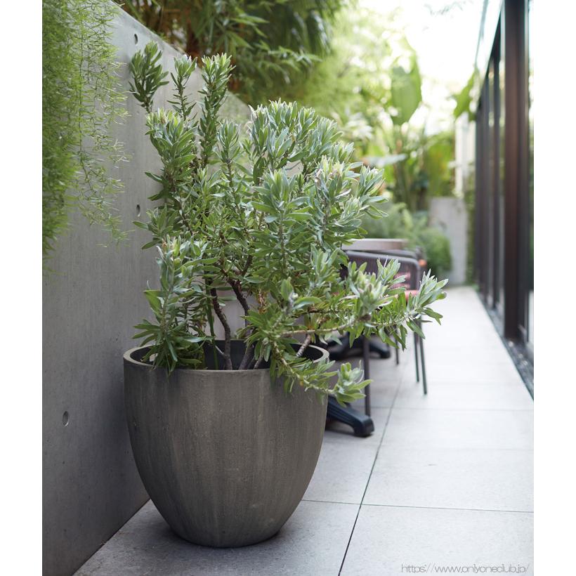 プランター 大型 植木鉢 円形 ファイバーポリレジン 鉢 おしゃれ ソンク ラウンド 直径4 高さ360 ホワイト サンド 穴あり ガーデニング 園芸用品 庭 Y0541 Otk アンドハウス Yahoo 店 通販 Yahoo ショッピング