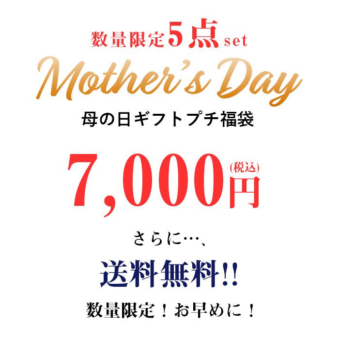 母の日 21 福袋 レディース ワンピース シャツ 時計 日傘 マスク エコバッグ 鞄 時計 ギフト 贈り物 プレゼント 5点セット 送料無料 おしゃれ アンドイット And It レディース 通販 Paypayモール