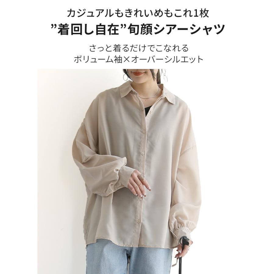 and it_（アンドイット） シアーシャツ 長袖 黒 ブルー レディース