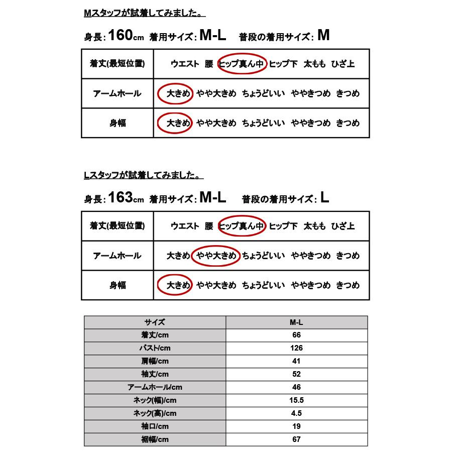 カットソー レディース 長袖 フリル 綿 襟 春 きれいめ Tシャツ 白 黒 ロンT コットン 50代 40代 30代 20代 無地 シャーリング おしゃれ｜andit｜05