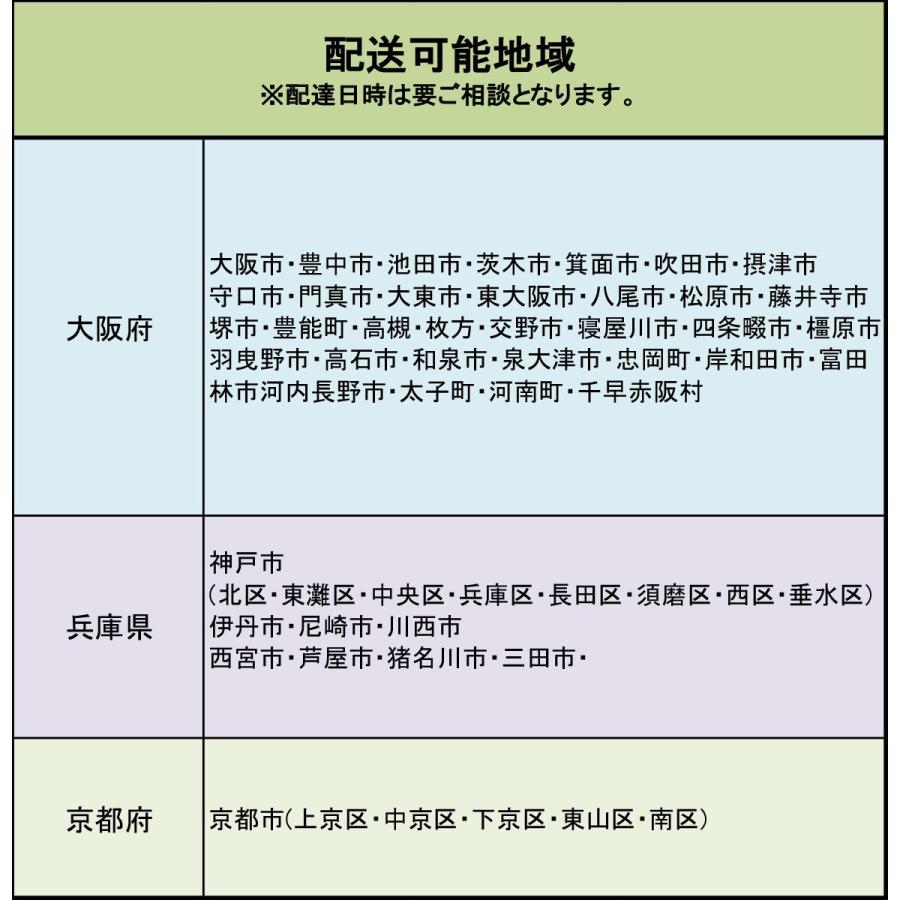 現物】観葉植物 フィカス アルテシマ 大型 ※配送近隣限定 3-0029 : and