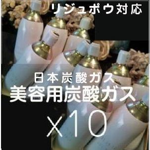 リジュポウ対応　炭酸ガスカートリッジ　10本組
