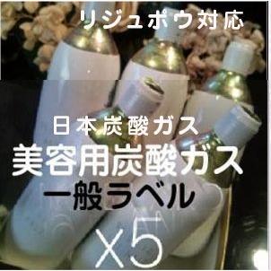 リジュポウ対応 炭酸ガスカートリッジ 5本組 : and More - 通販