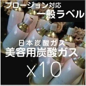 プロージョン対応　炭酸ガスカートリッジ　10本組(パッキン付き)