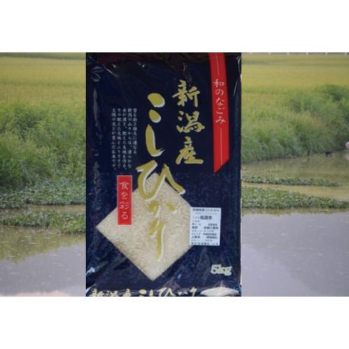 コシヒカリ 佐渡産コシヒカリ 10kg 新潟県 2023年産 : 安藤米店