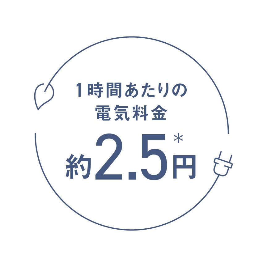 Panasonic（パナソニック） ホットマット DC-SN20-T [ライトブラウン