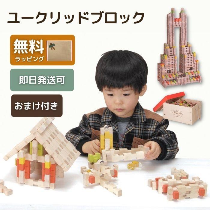 エド・インター（Ed・Inter） ユークリッド ブロック おもちゃ 知育