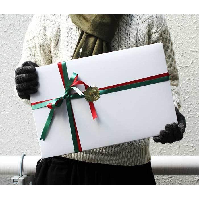 インテリム INTERIM カシミヤ ストール マフラー CASHMERE 100