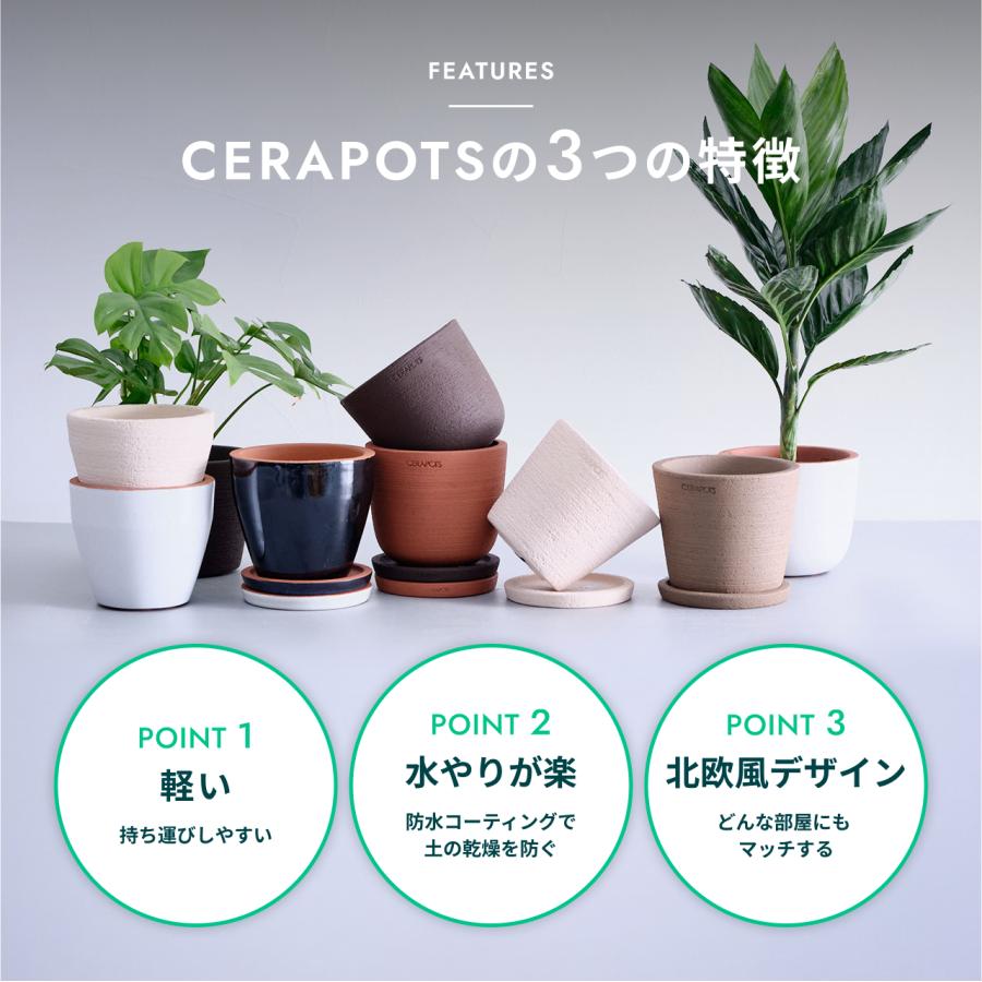 AND PLANTS（アンドプランツ） 植木鉢 鉢 陶器鉢 8号 CERAPOTS 素焼き