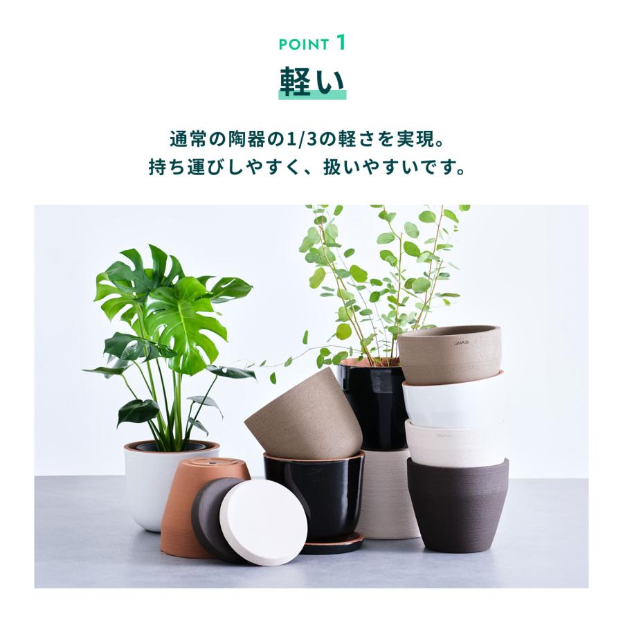 AND PLANTS（アンドプランツ） 植木鉢 鉢 陶器鉢 8号 CERAPOTS 素焼き