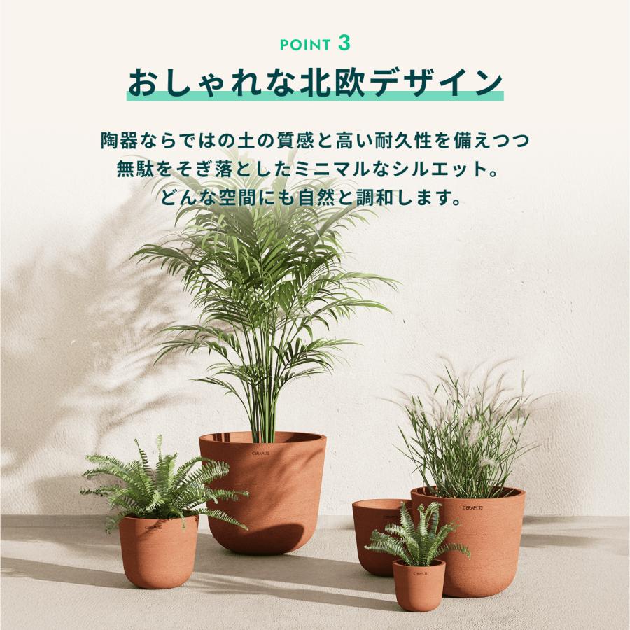 AND PLANTS（アンドプランツ） 植木鉢 鉢 陶器鉢 8号 CERAPOTS 素焼き