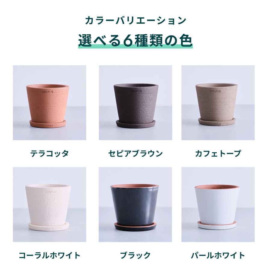 AND PLANTS（アンドプランツ） 植木鉢 鉢 陶器鉢 8号 CERAPOTS 素焼き