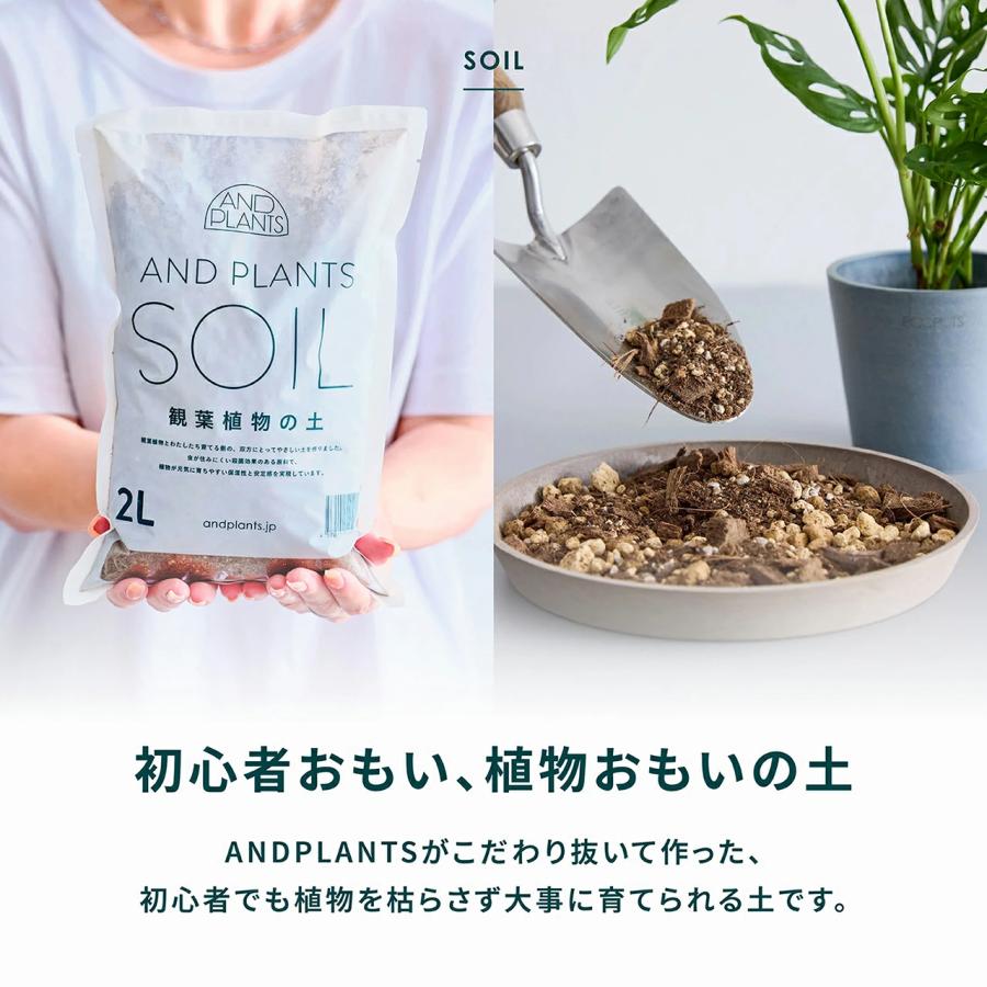 AND PLANTS（アンドプランツ） 観葉植物の土 2L 観葉植物 観葉土 土